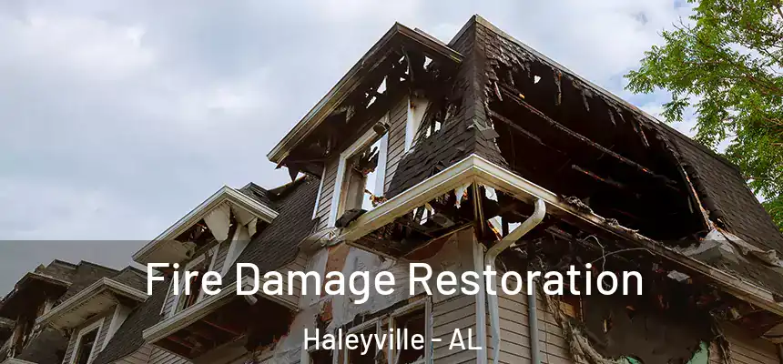 Fire Damage Restoration Haleyville - AL
