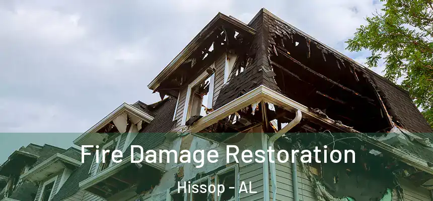  Fire Damage Restoration Hissop - AL