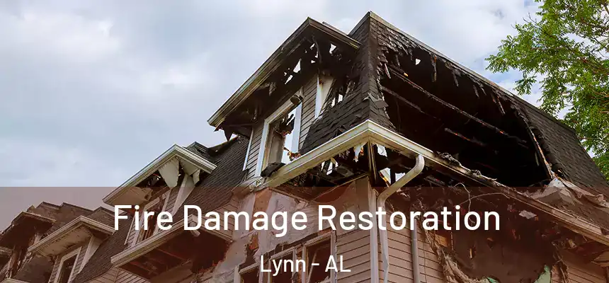  Fire Damage Restoration Lynn - AL