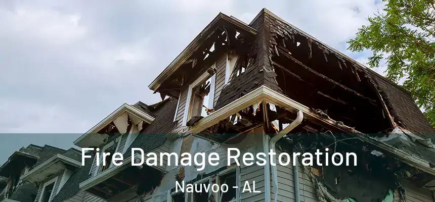 Fire Damage Restoration Nauvoo - AL