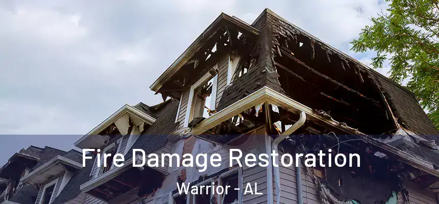 Fire Damage Restoration Warrior - AL
