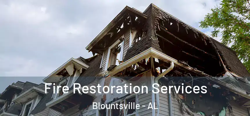  Fire Restoration Services Blountsville - AL