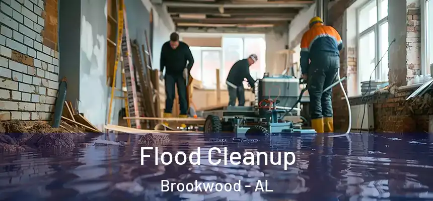 Flood Cleanup Brookwood - AL