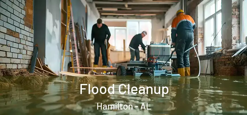 Flood Cleanup Hamilton - AL
