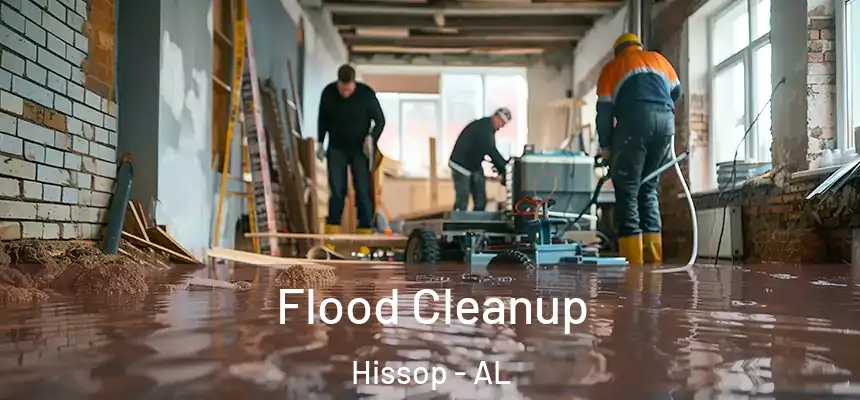  Flood Cleanup Hissop - AL