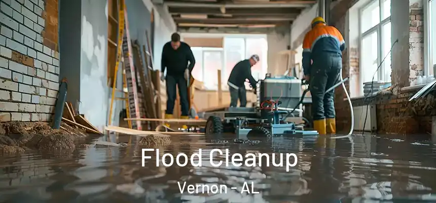 Flood Cleanup Vernon - AL