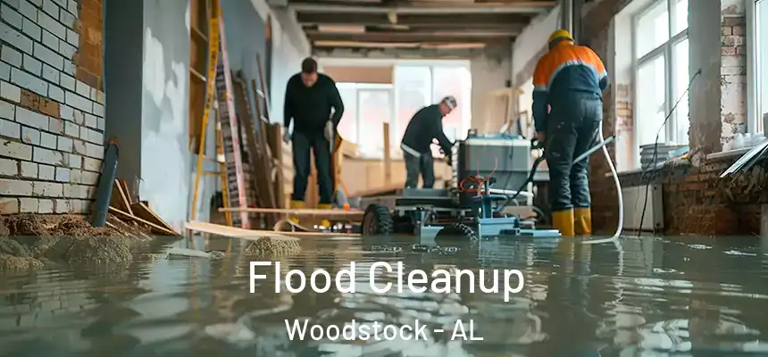 Flood Cleanup Woodstock - AL