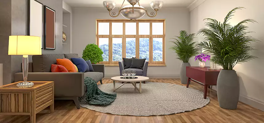 Local Water Mitigation in Oneonta