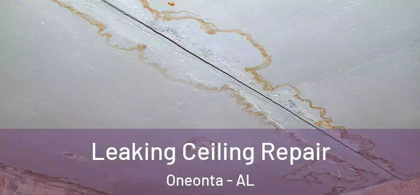  Leaking Ceiling Repair Oneonta - AL