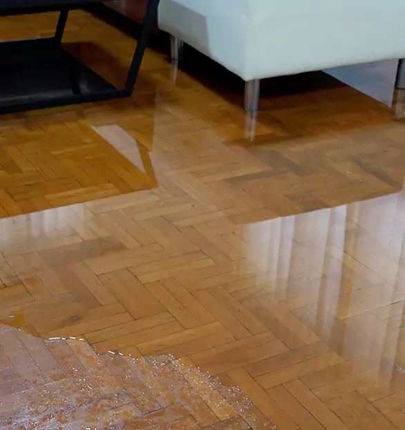 Trusted Emergency Water Restoration Company in Oneonta, AL