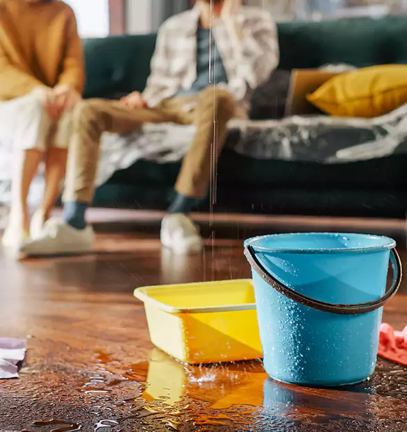 Trusted Water Remediation Company in Oneonta, AL