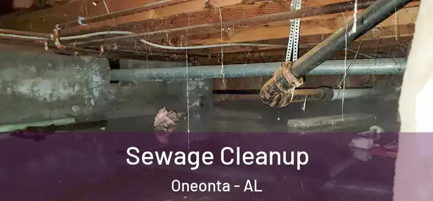 Sewage Cleanup Oneonta - AL