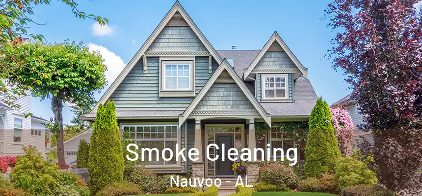  Smoke Cleaning Nauvoo - AL