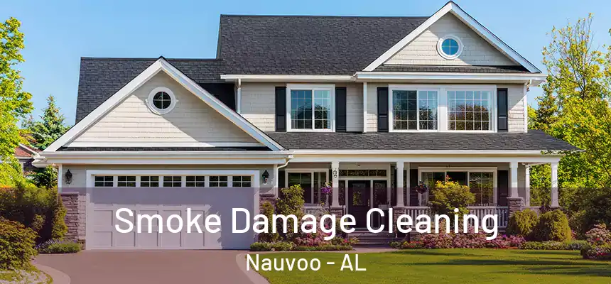  Smoke Damage Cleaning Nauvoo - AL