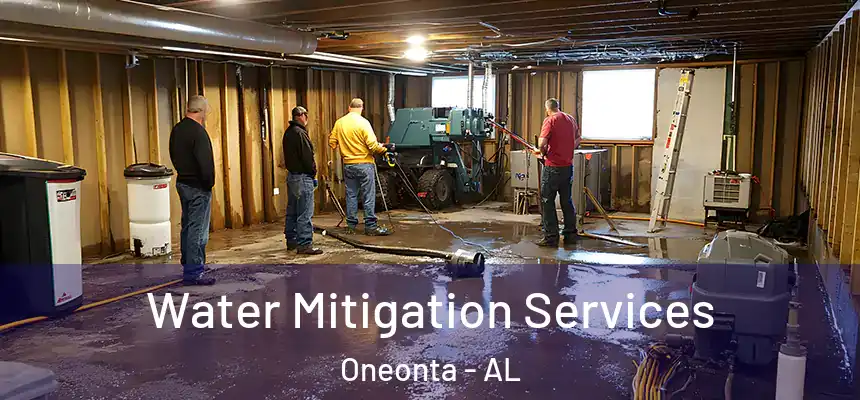  Water Mitigation Services Oneonta - AL